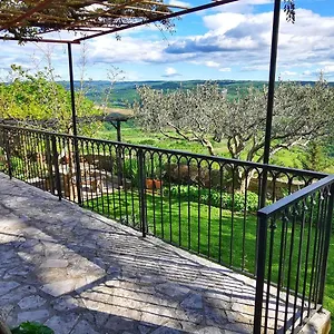 Apartment Belvedere 